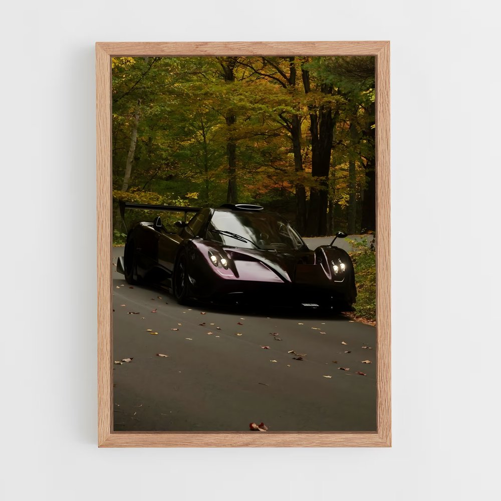 Poster Zonda magnifique r – affiche Pagani (vue 4)